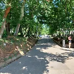 Maja Apartman *